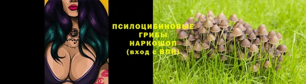 не бодяженный Верея