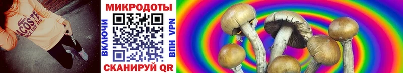 ОМГ ОМГ ССЫЛКА  Иваново  Галлюциногенные грибы мицелий 